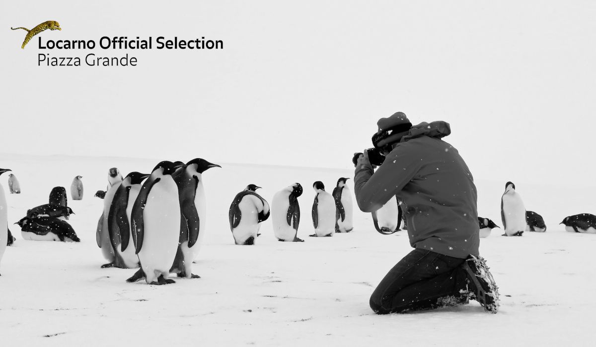 Antarctica Calling