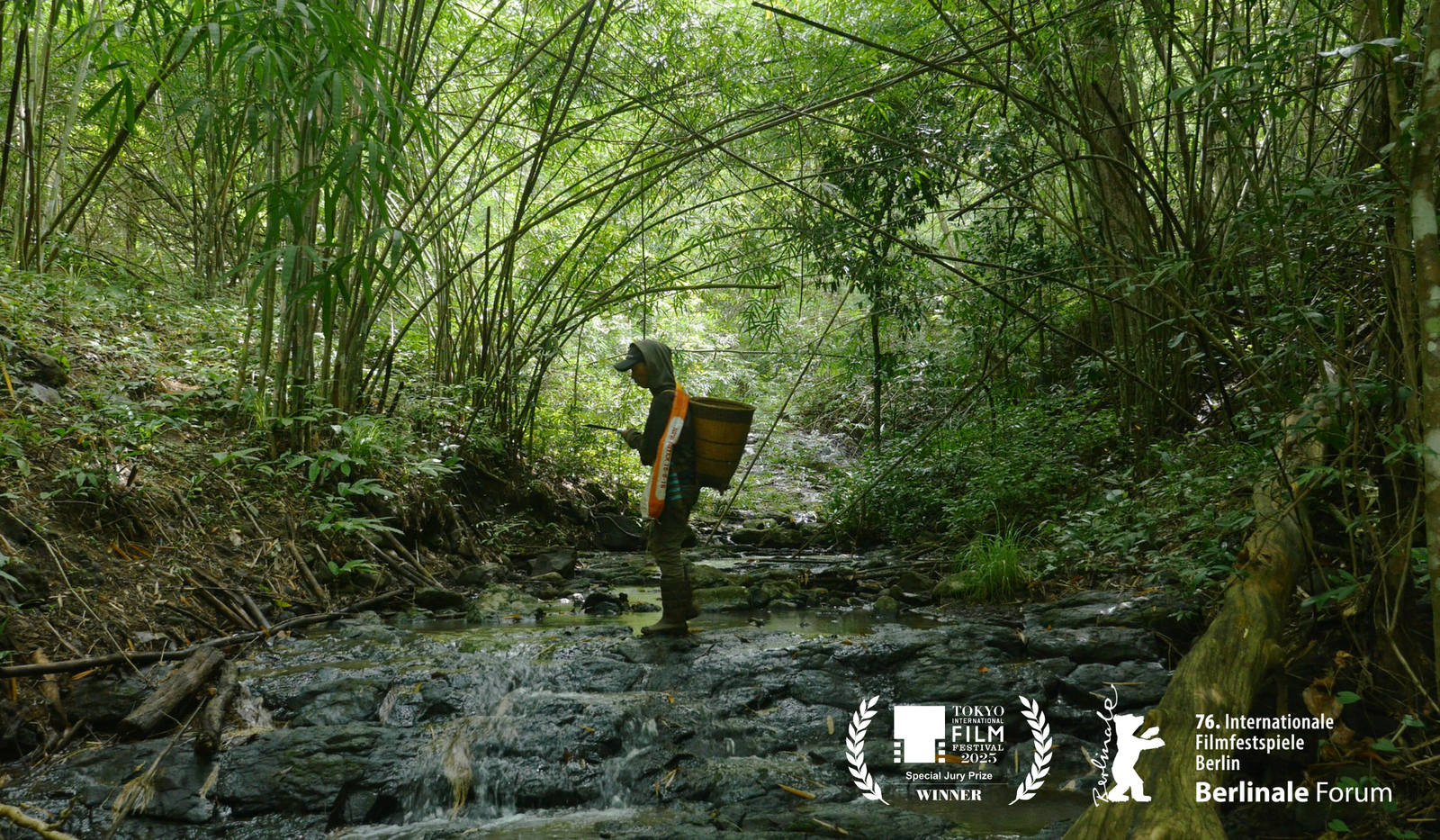 We Are the Fruits of the Forest