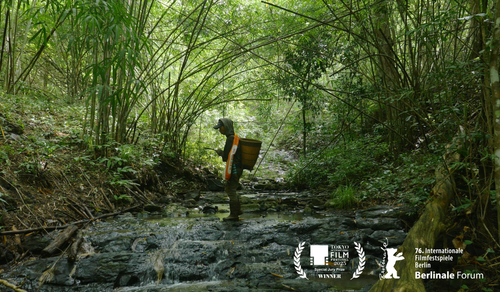 We Are the Fruits of the Forest